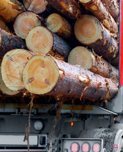 Transport of wood