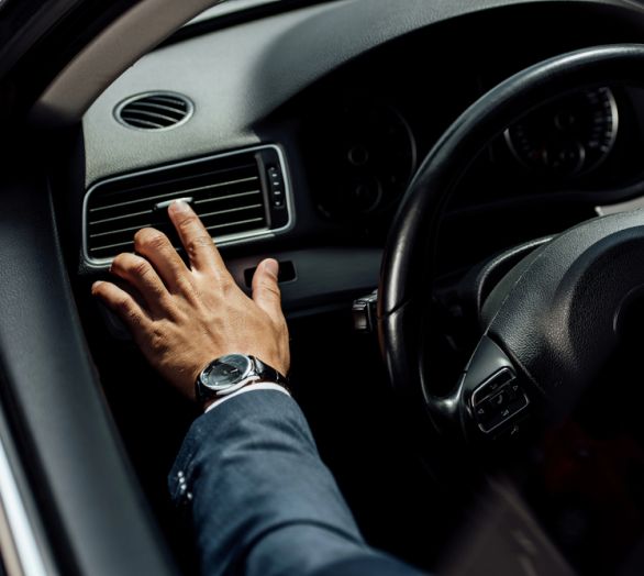 VIP transport Slovenia