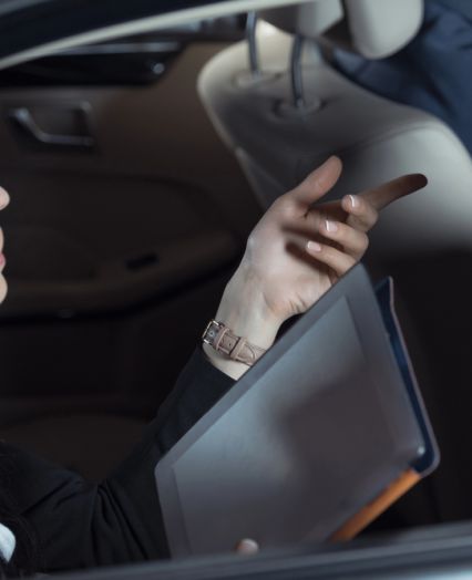 Professional private transport Slovenia