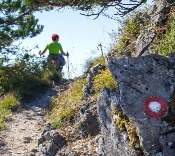 Hiking trail Notranjska