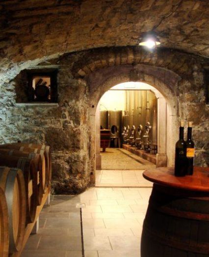 Vipava Wine Tasting