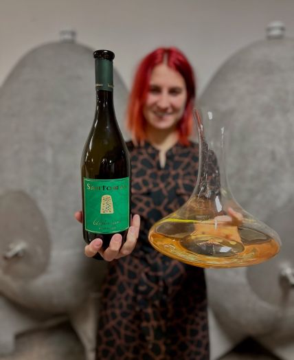 Best Slovenian wines