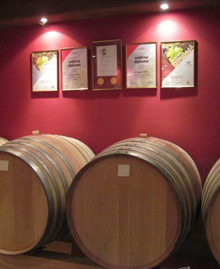 Wine cellar Karst