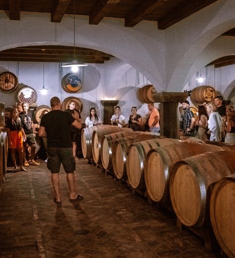 winery tour Goriška Brda