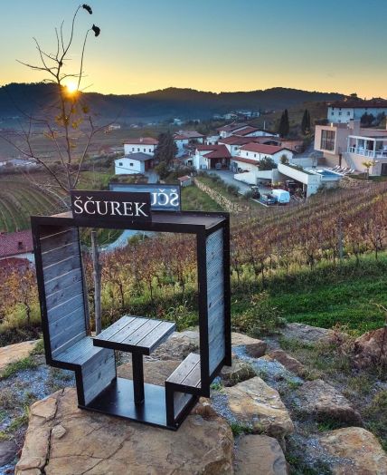 Organized winery tour