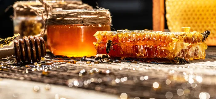 Feldfrüchte, Viehzucht und Bienenzucht