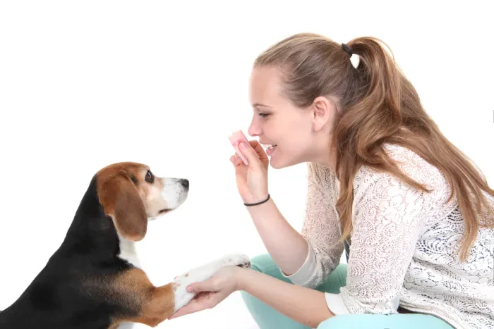 Hundeschulen