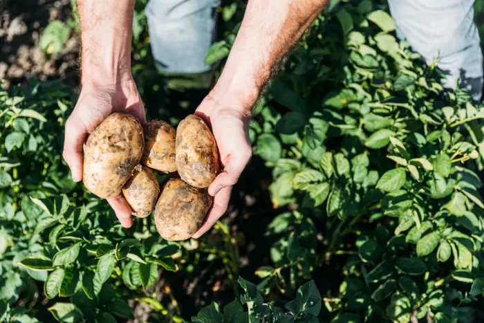 Regionalität schafft Vertrauen und stärkt die Zukunft der Landwirtschaft