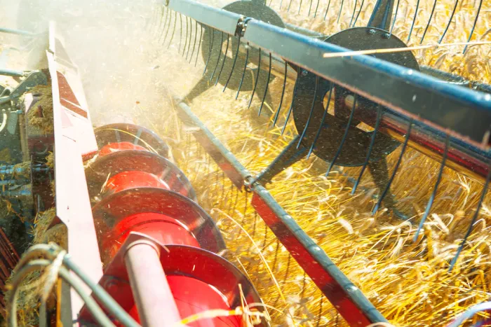Digitale Innovationen verändern die Landwirtschaft nachhaltig