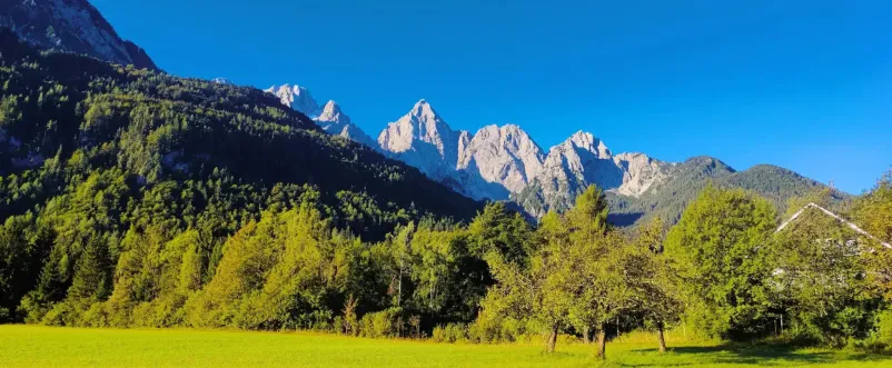 Tailor-made tours from Bled