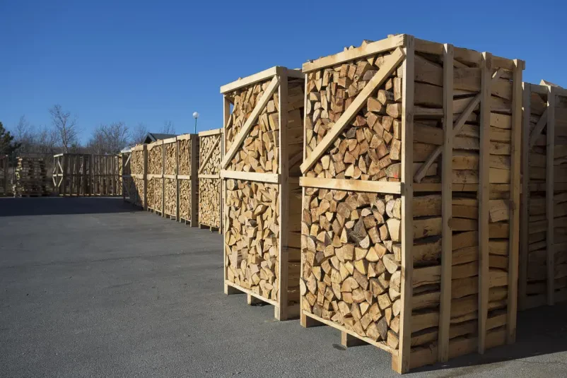 Vendita all'ingrosso di legname conveniente Slovenia