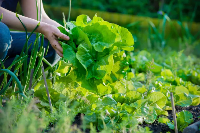 Moderne Vermarktung verbindet Tradition mit Innovation
