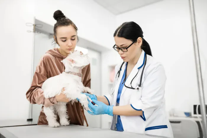Vorsorge und moderne Diagnostik bilden die Grundlage einer guten Tiergesundheit