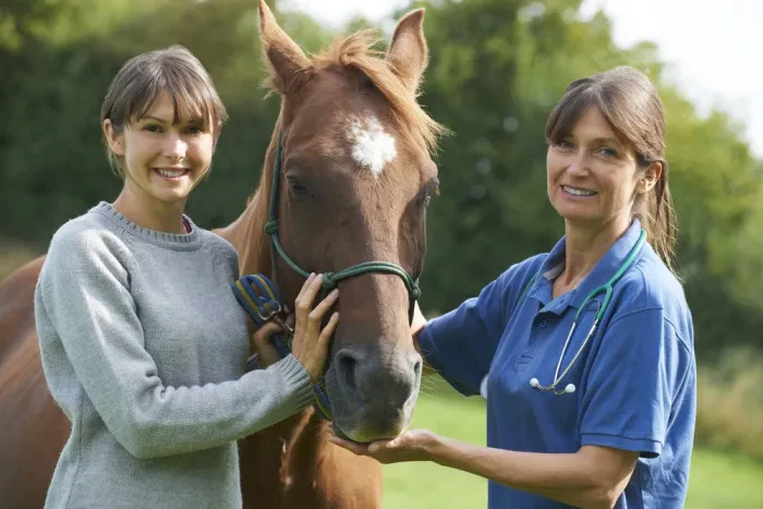 Moderne Veterinärmedizin verbindet Innovation mit Fürsorge