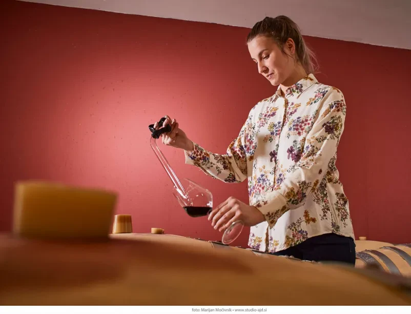 Organized wine tastings Slovenia