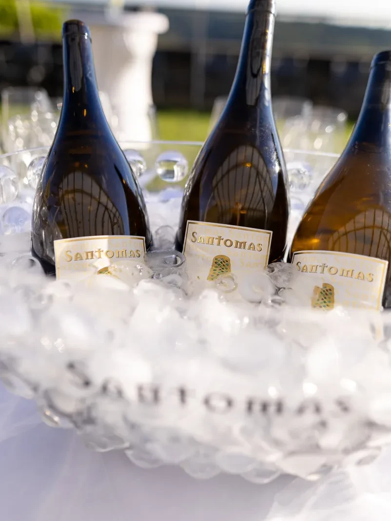 Organized wine tastings Slovenia
