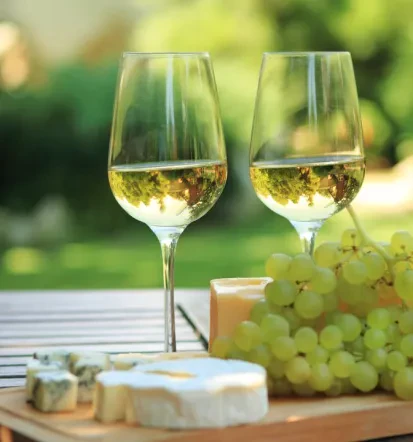 Wein