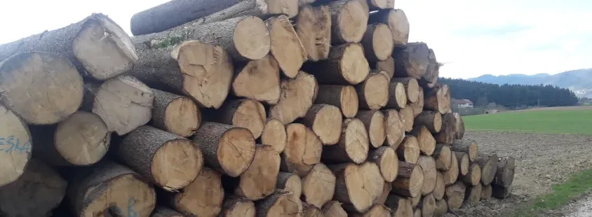 Verkauf von Brennholz Österreich, Slowenien, BOŠK