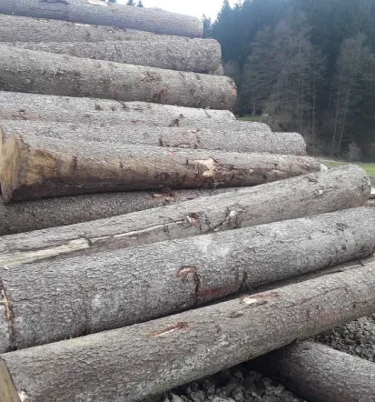 Verkauf von Rundholz und Brennholz
