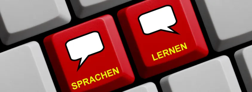 Hochwertiger Unterricht der deutschen Fremdsprache, Simona Drajzibner s.p.