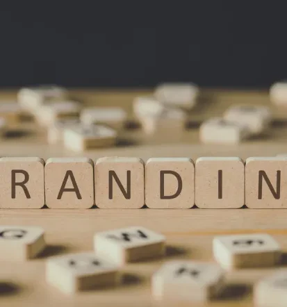 Brand building