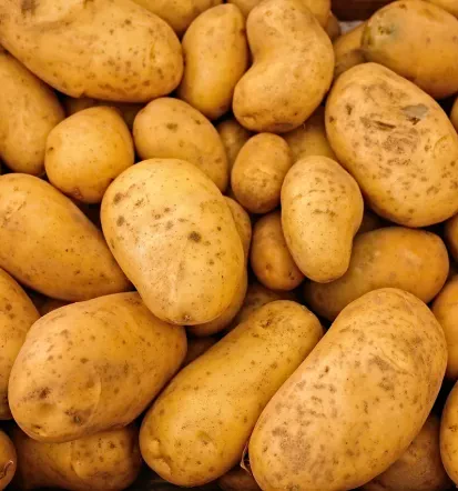 Potatoes