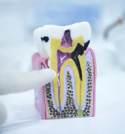 Clinica dentistica