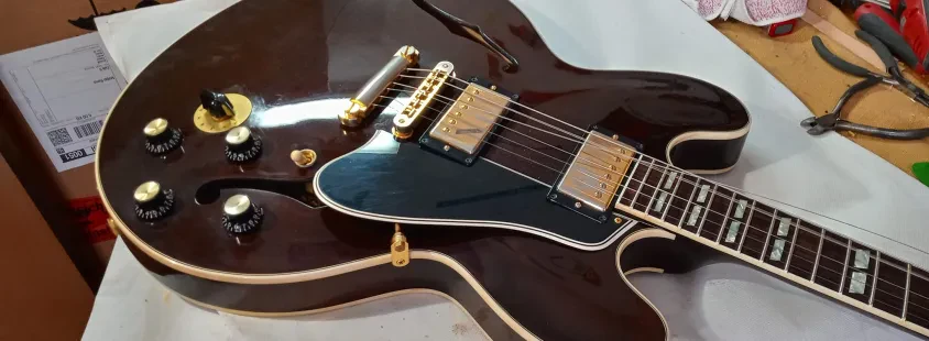 Gitarrenbauer, Jazzgitarren Deutschland, Österreich