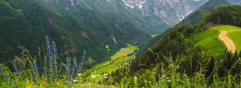 Tourist route Notranjska - Društvo ETNO-EKO