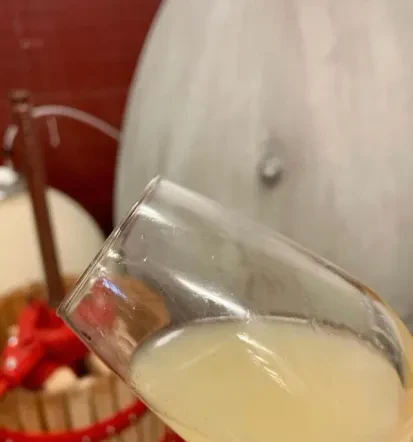 Wine barrels