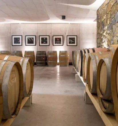 Wines