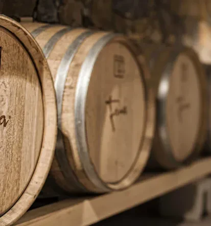 Wines