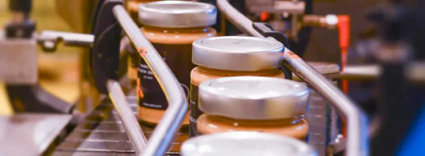 Production of quality tofu Slovenia