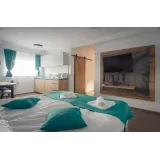 Apartment Gobi