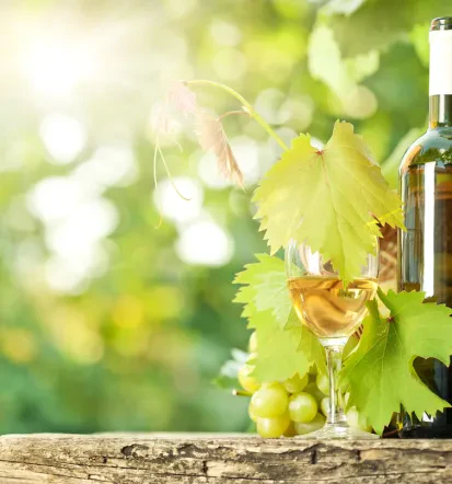 Winery
