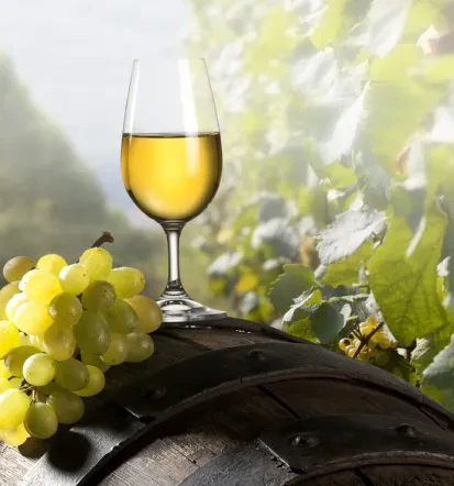 Winery
