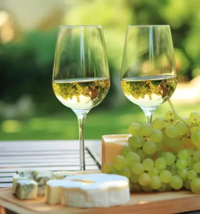 Winery