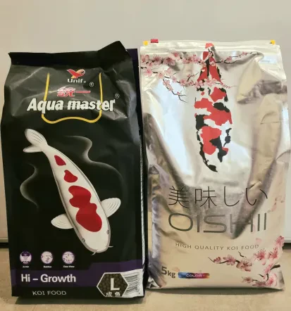 Koi carp