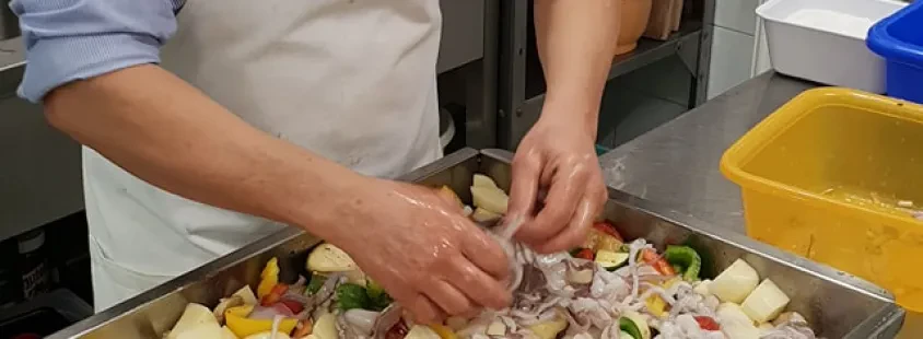 Good lunches, a la carte dishes Domžale surroundings