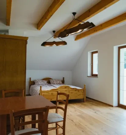 Farm accommodation Pohorje 3