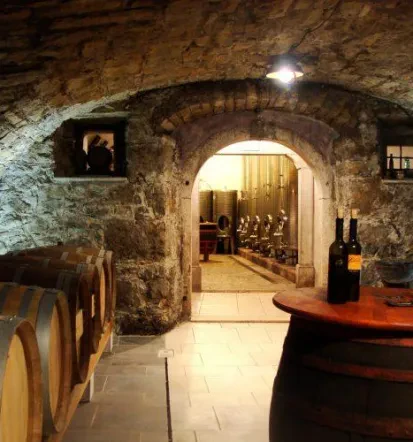 Vipava Wine Tastings 9