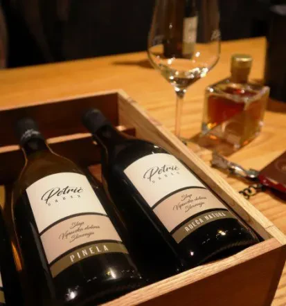 Vipava Wine Tastings 10
