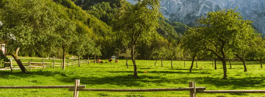 Room rental Stahovica, Gorenjska
