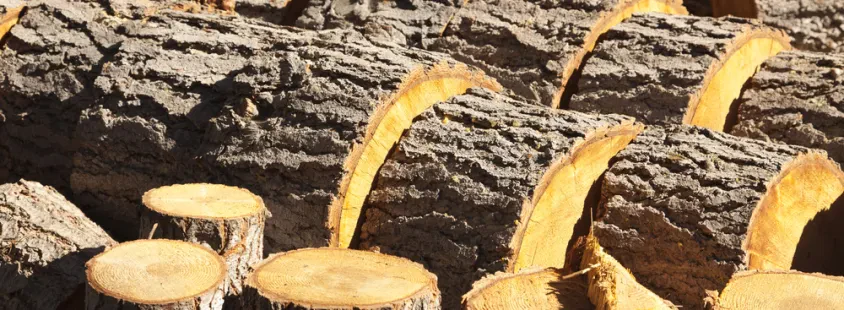 Timber and log transport Europe