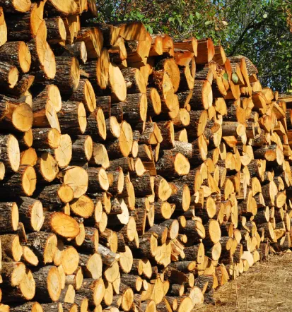 Timber and log transport Europe 2