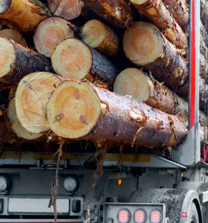 Timber and log transport Europe 4