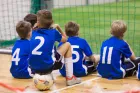 Sportclubs, Vereine und Schulen