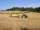 Landwirtschaft