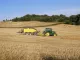 Landwirtschaft