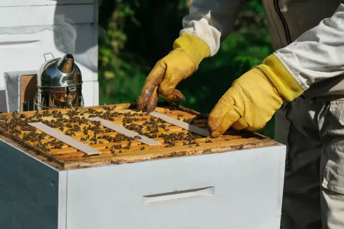  Bienenzucht 